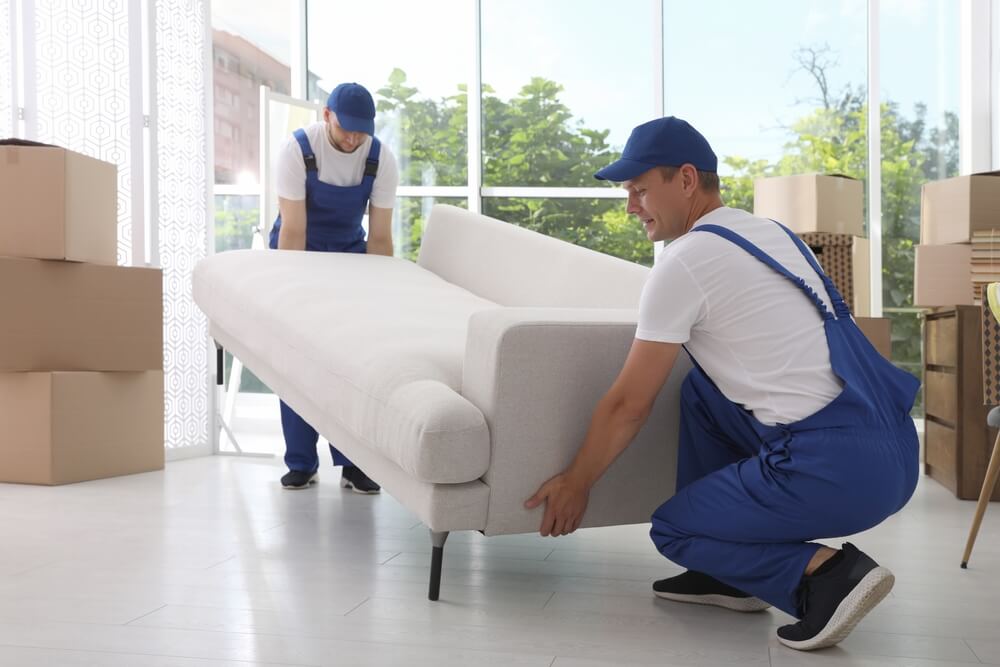Office Relocation By Expert Movers