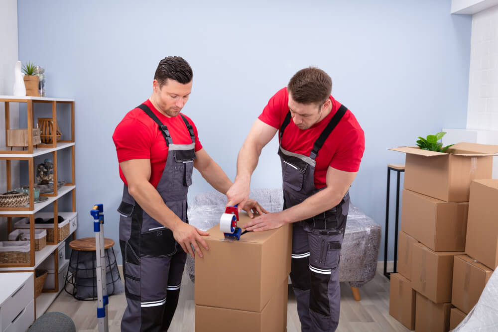 Professional Moving Solutions In East Orange